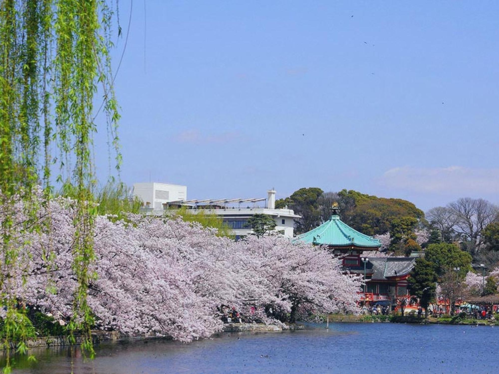 Hotel Mystays Ueno Iriyaguchi Tokyo Ngoại thất bức ảnh